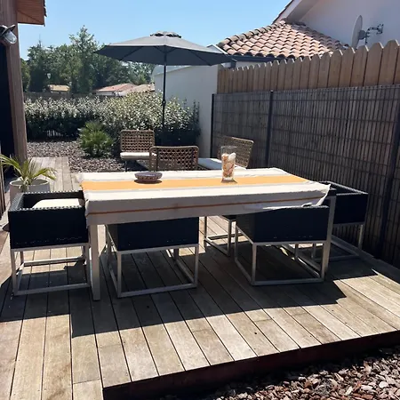 Des Oliviers 8 Personnes Avec Jardin Piscine St Julien En Born Contis