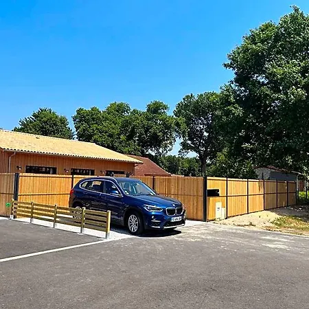 Villa Des Oliviers 8 Personnes Avec Jardin Piscine St Julien En Born Contis *